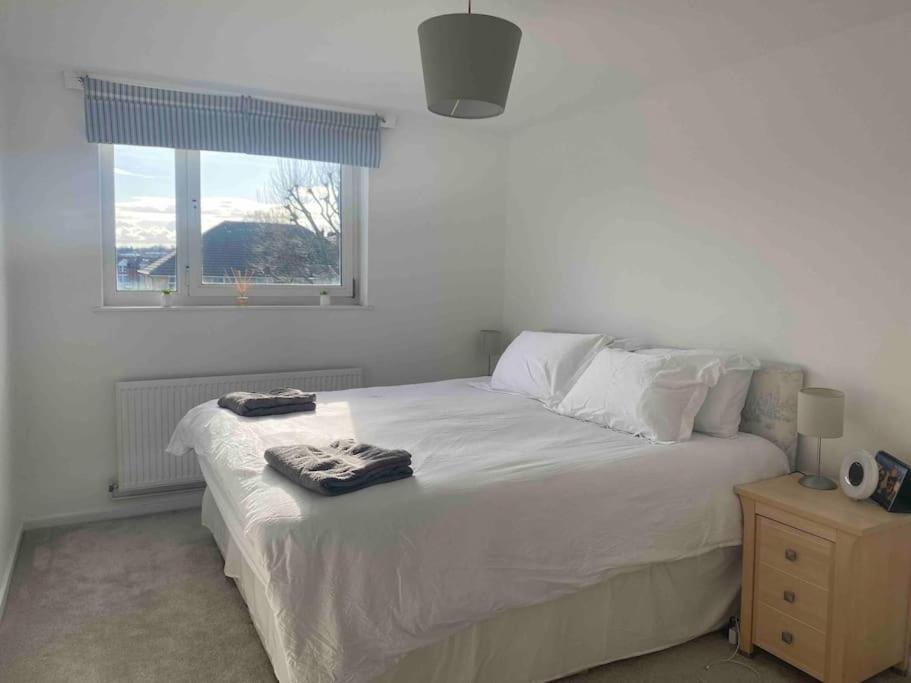 Appartement Cosy Flat In The Heart Of Wandsworth Londres